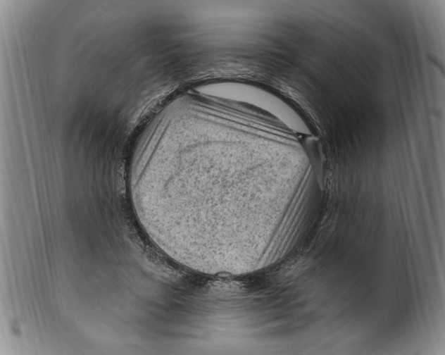 X0000099480403200806061250