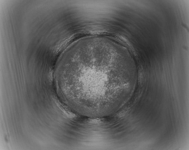 X0000099480405200806061250