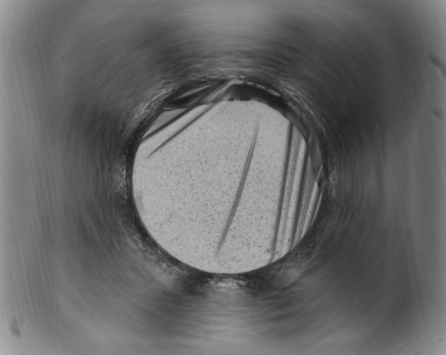 X0000099480407200806061250