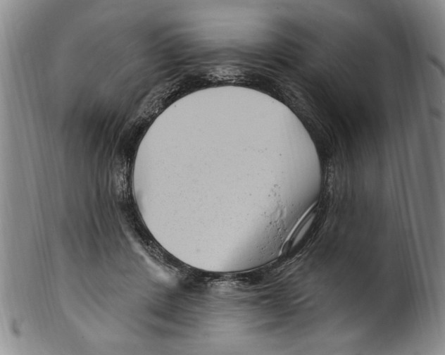 X0000099480408200806061250