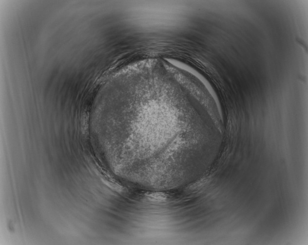 X0000099480409200806061250