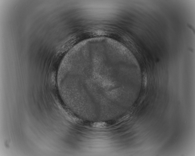 X0000099480410200806061250
