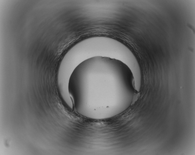 X0000099480411200806061250
