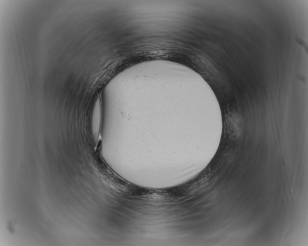 X0000099480412200806061250