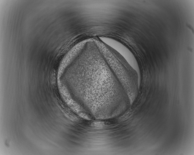 X0000099480413200806061250