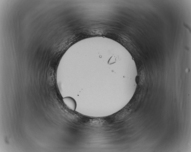 X0000099480414200806061250