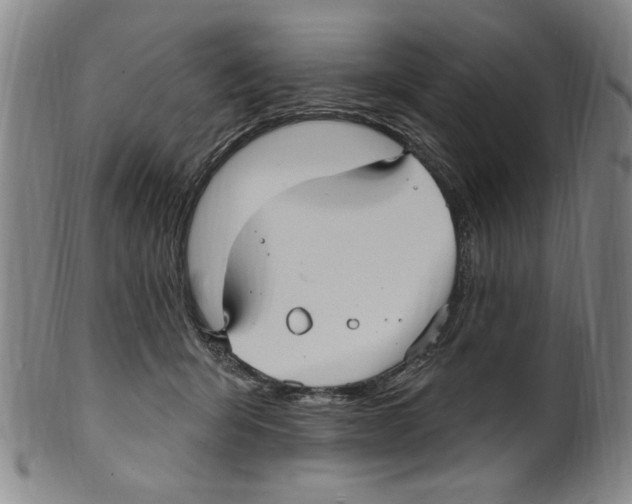 X0000099480415200806061250