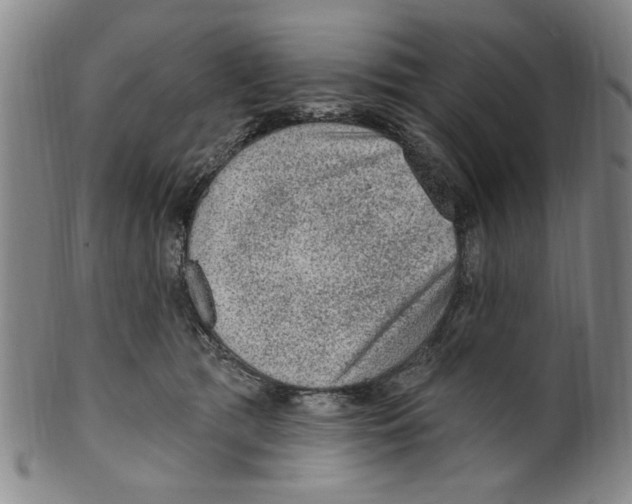 X0000099480417200806061250