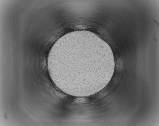 X0000099480418200806061250
