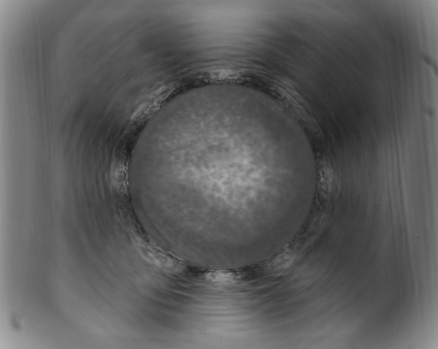 X0000099480419200806061250