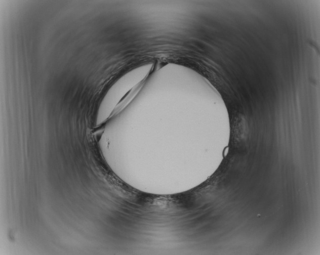 X0000099480420200806061250