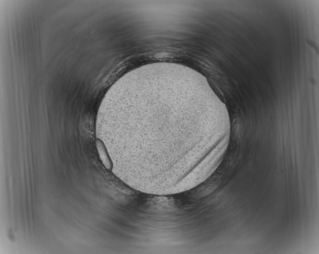 X0000099480421200806061250