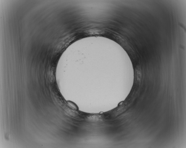 X0000099480422200806061250