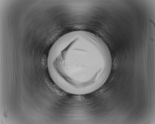 X0000099480424200806061250
