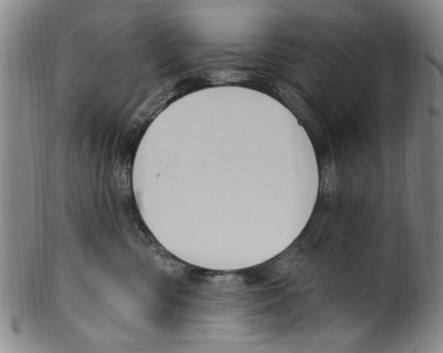 X0000099480426200806061250