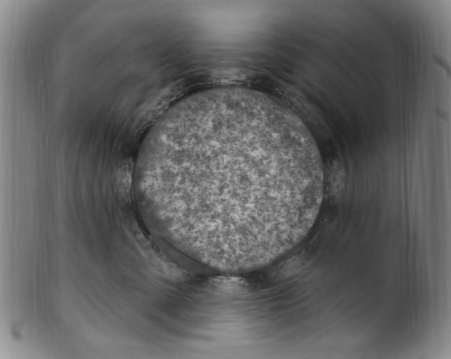 X0000099480427200806061250