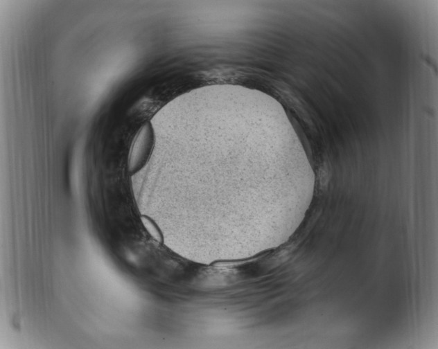 X0000099480429200806061250
