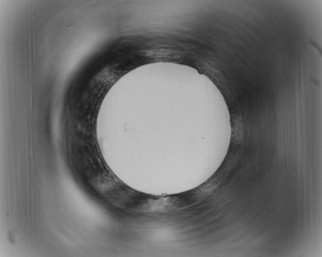 X0000099480430200806061250