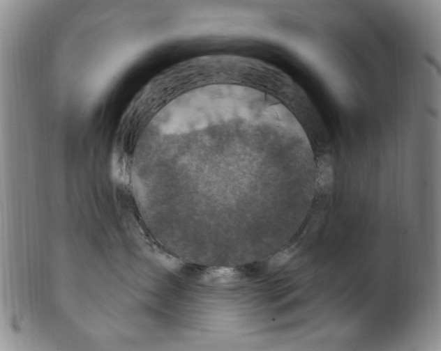 X0000099480431200806061250
