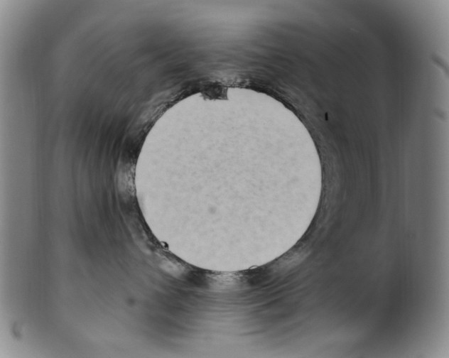 X0000099480432200806061250