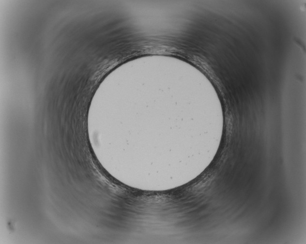 X0000099480433200806061249