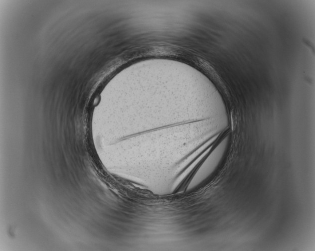 X0000099480435200806061249