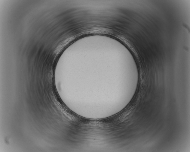 X0000099480437200806061249