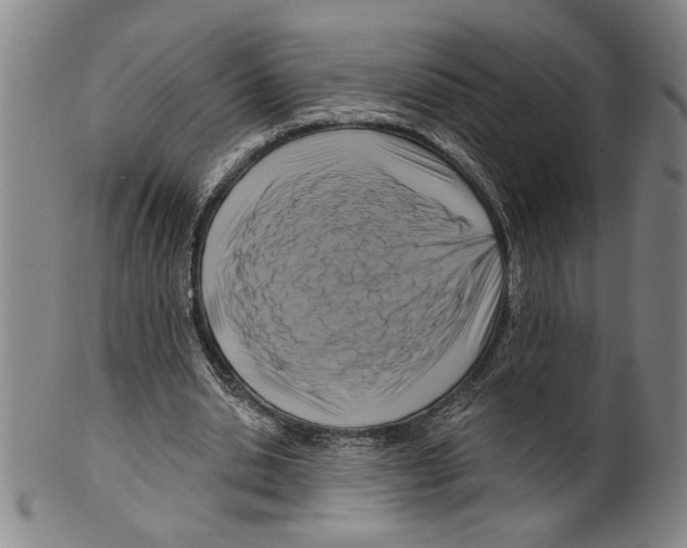 X0000099480438200806061249
