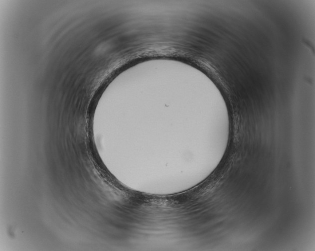 X0000099480439200806061249