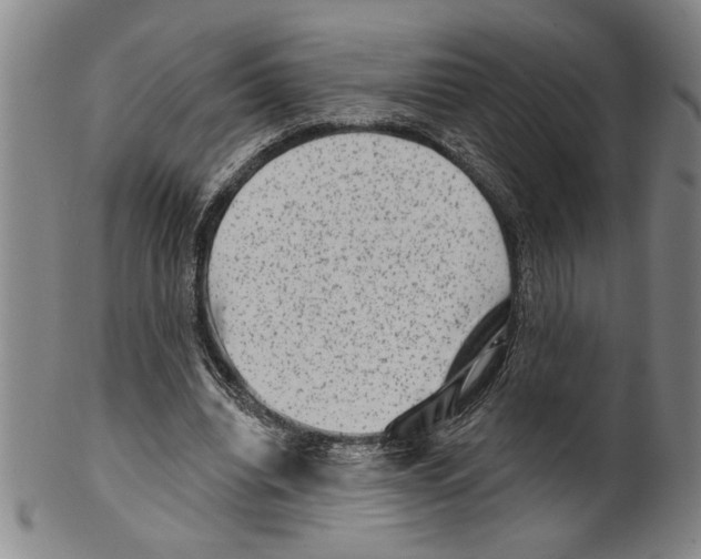 X0000099480440200806061249