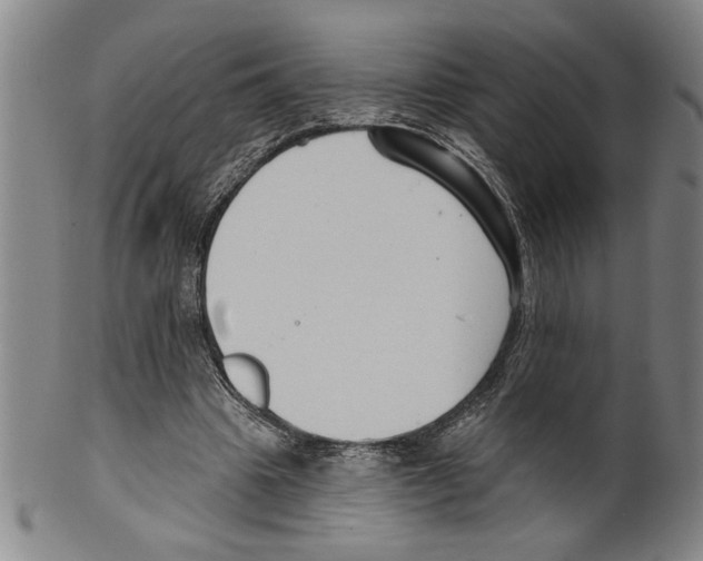 X0000099480441200806061249