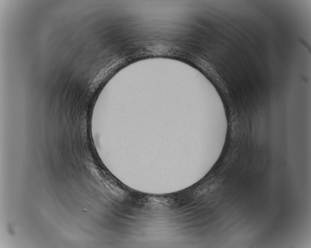 X0000099480442200806061249