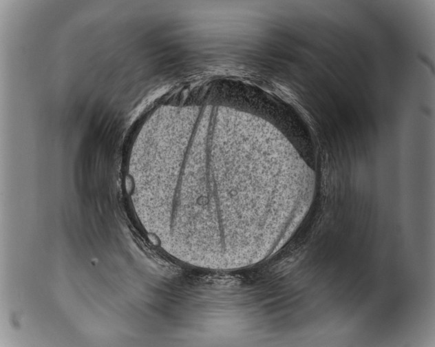 X0000099480443200806061249
