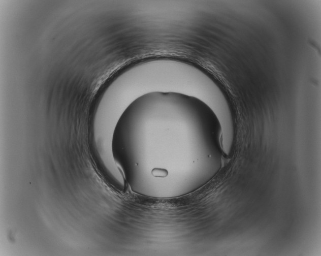 X0000099480444200806061249