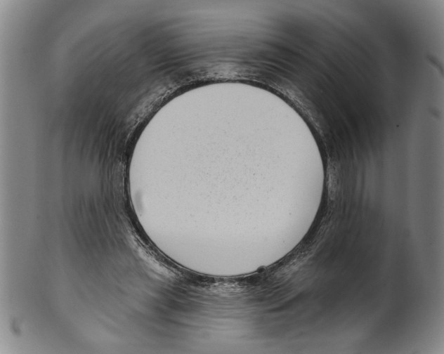 X0000099480445200806061249