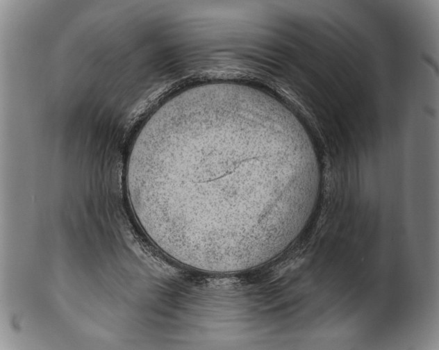 X0000099480446200806061249