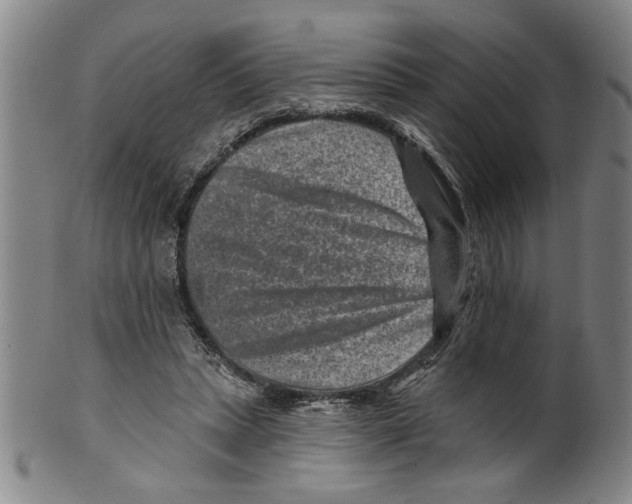 X0000099480447200806061249