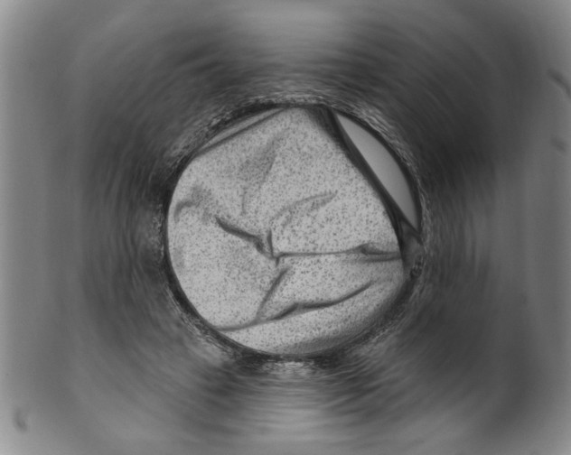 X0000099480449200806061249