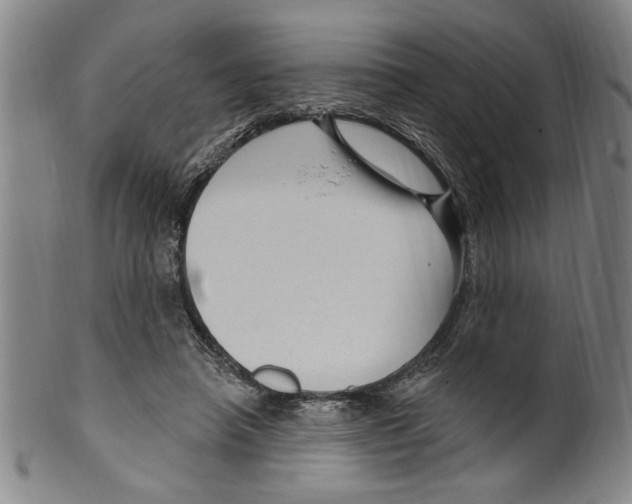X0000099480450200806061249