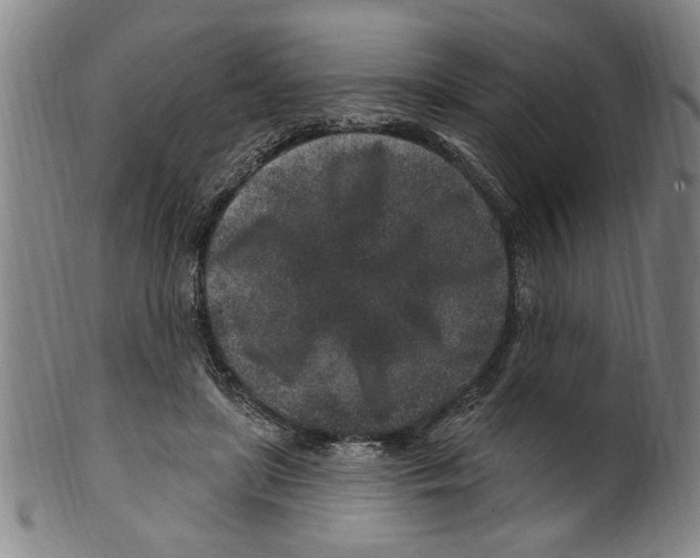 X0000099480451200806061249