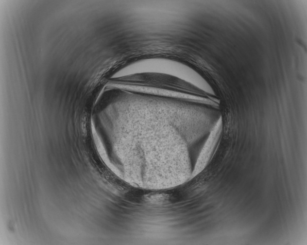 X0000099480452200806061249