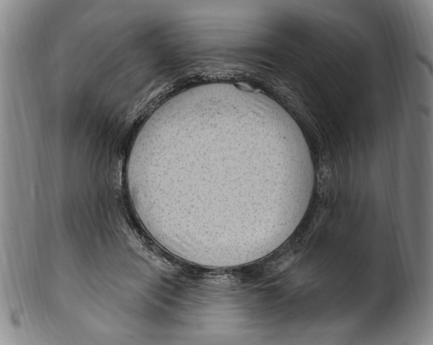 X0000099480454200806061249