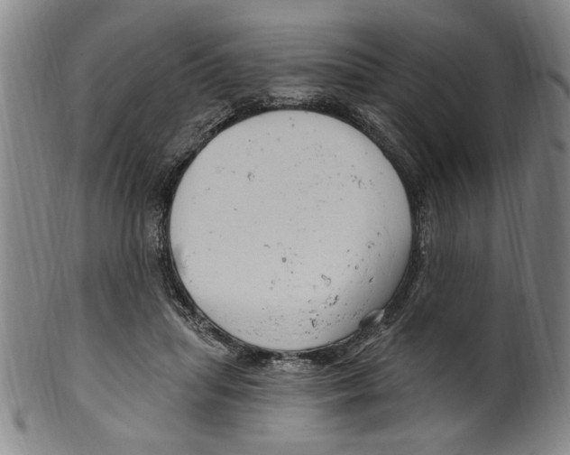 X0000099480455200806061249