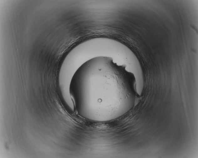 X0000099480456200806061249