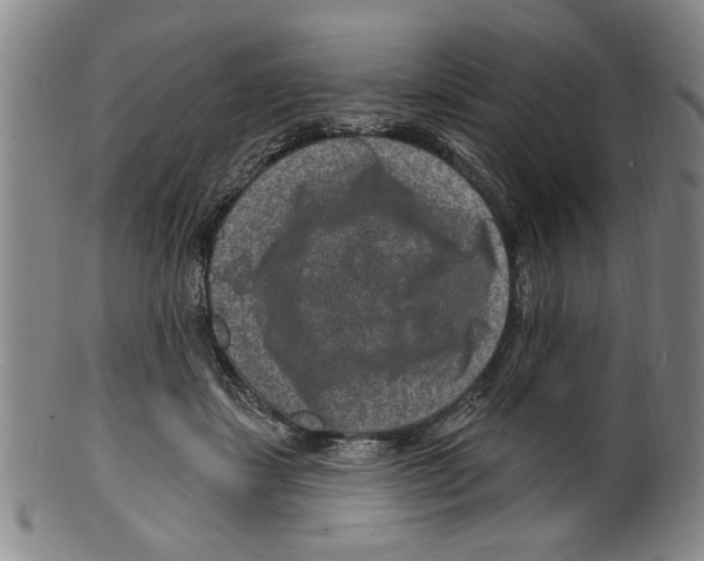 X0000099480459200806061249