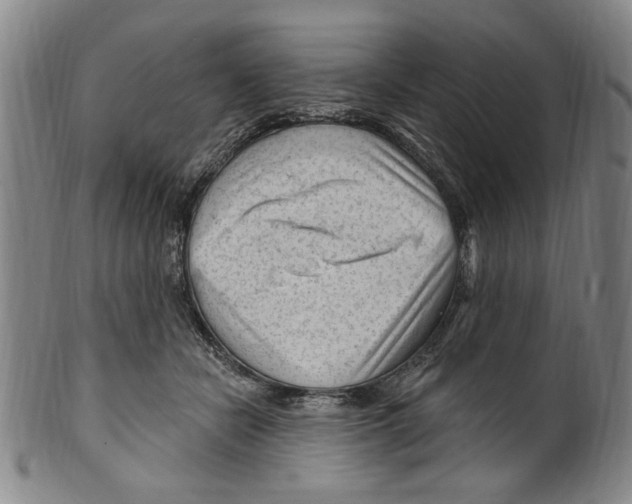 X0000099480462200806061250