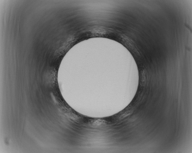 X0000099480463200806061250