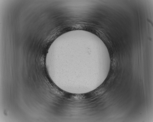 X0000099480466200806061250