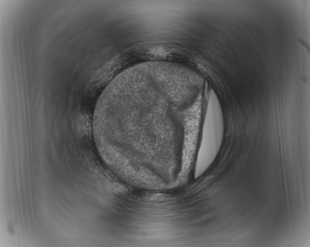X0000099480467200806061250