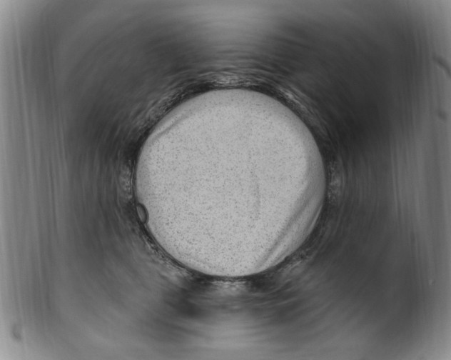 X0000099480469200806061250